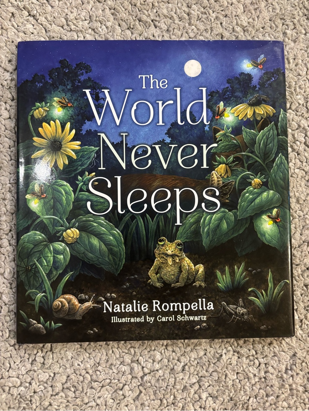 The World Never Sleeps by Natalie Rompella - Illustrated Night Nature Cover